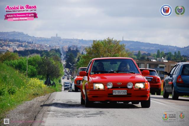 DSC_9087