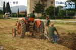 DSC_0520