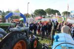 IMG_2951 (Large)