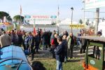 IMG_2952 (Large)