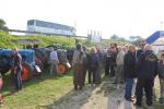 IMG_2954 (Large)