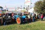 IMG_2974 (Large)