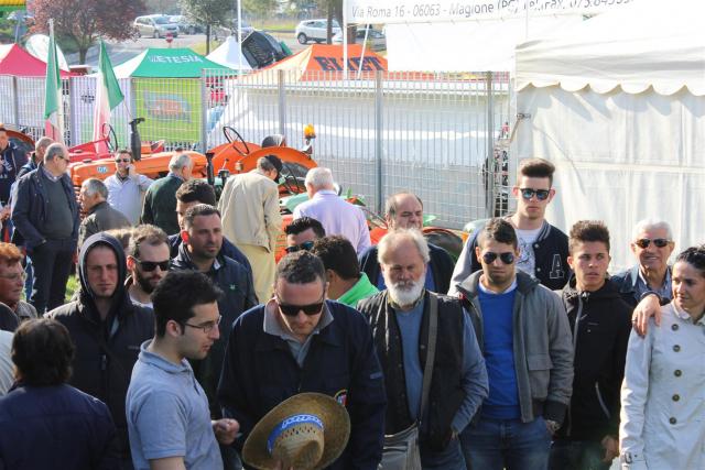 IMG_2980 (Large)