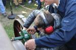 IMG_3030 (Large)