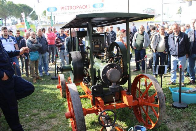 IMG_3033 (Large)