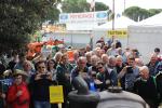 IMG_3075 (Large)