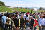 IMG_3076 (Large)