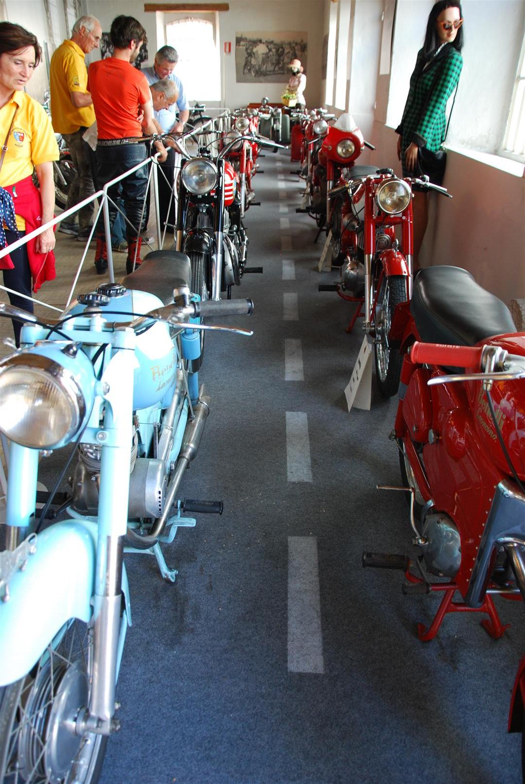 DSC_2945
