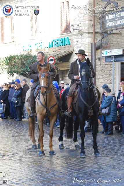 DSC_4409