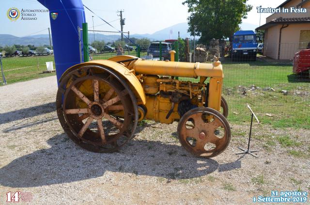 DSC_0019