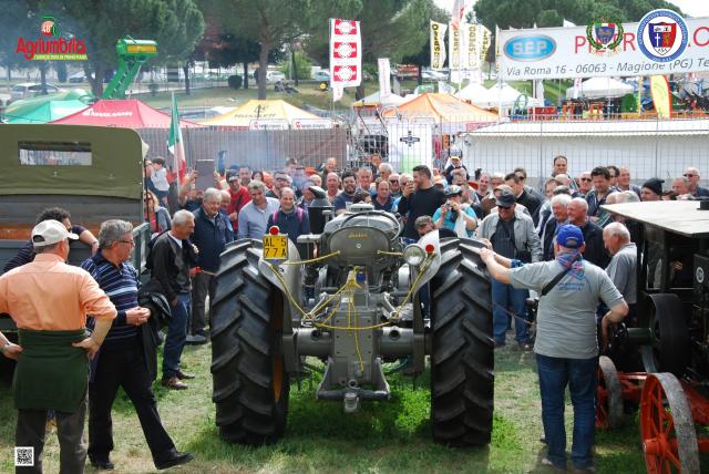 L'ASA avi aspetta ad AgriUmbria 2017 - www.asaclubassisi.com L'ASA avi aspetta ad AgriUmbria 2017 - www.asaclubassisi.com